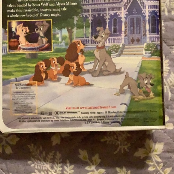 Lady and the Tramp II Scamps Adventure - Picture 3 of 11